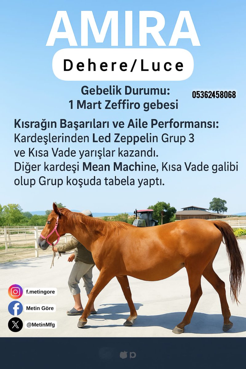 #Zeffiro gebesi #Dehere kızı Amira #varmıTalip <a href="/varmitalip/">varmitalipcomtr</a> <a href="/SelanikHARASI/">Selanik Harası</a>