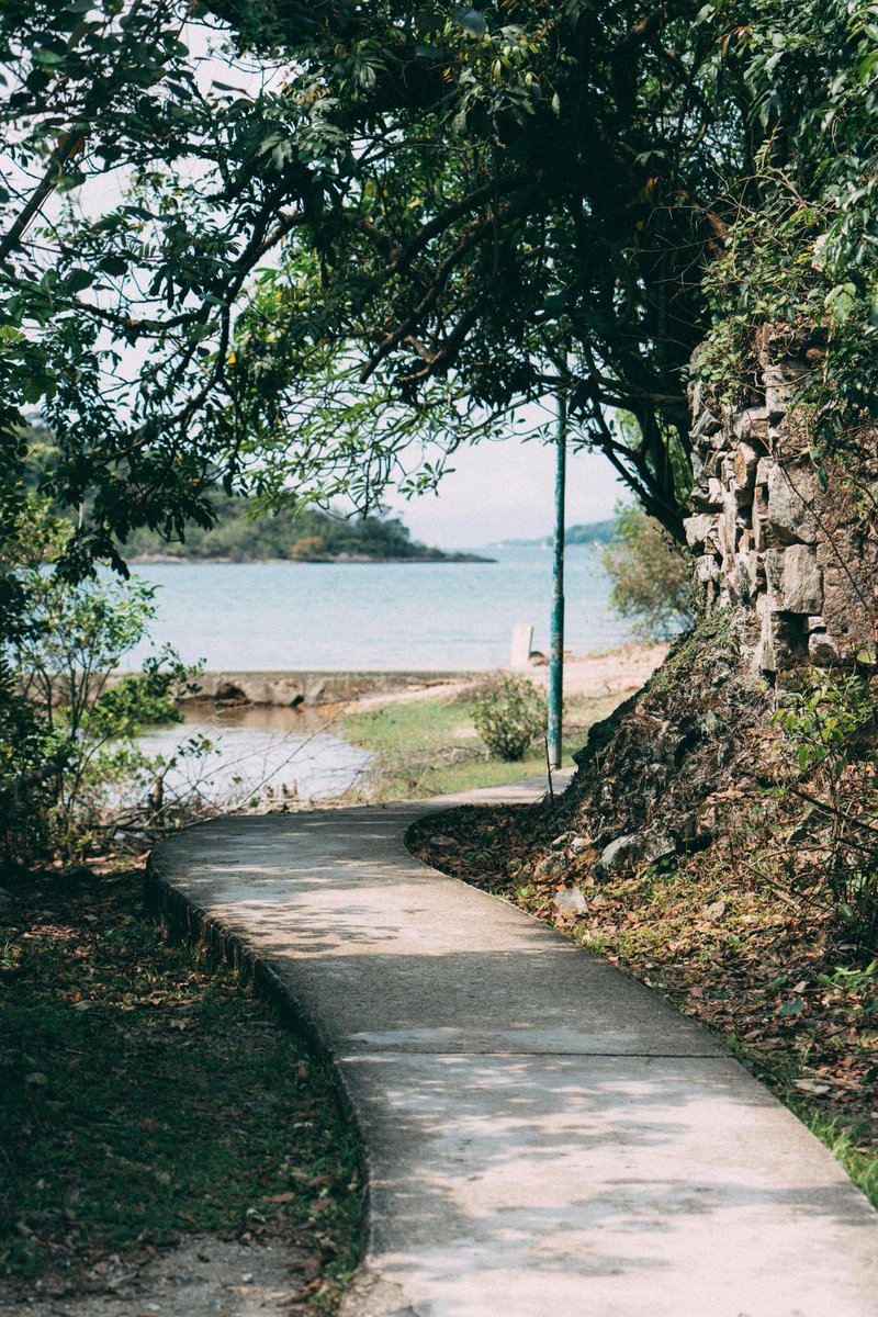 Serene summer pathway to... Swim In Algarve coast, Portugal  🇵🇹