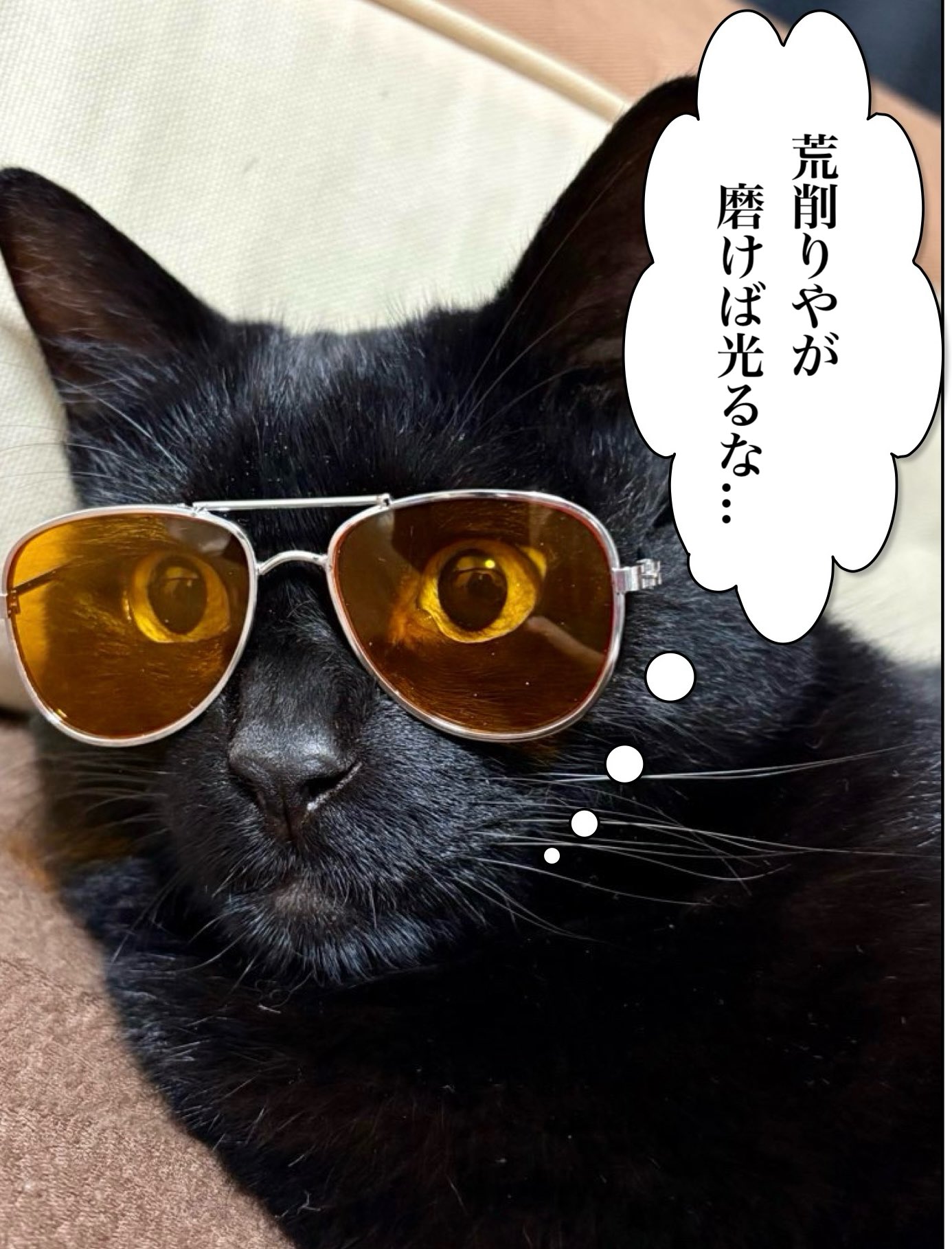 猫用迷子札オーダー【キラキラお目々の猫ちゃん】一部寄付K*neko