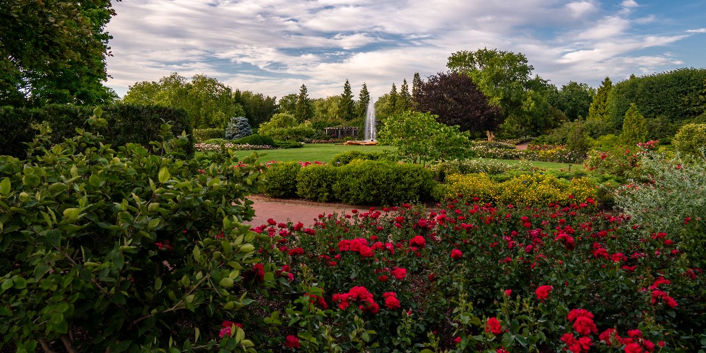 The Krasberg Rose Garden is blooming just in time for the #FirstDayofSummer. Come see more than 5,000 roses as they start filling the air with their delicate, sweet scents, and countless colors.