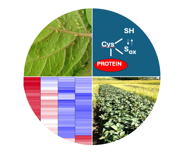 Biochemical Society (@biochemsoc) on Twitter photo Join Award winners <a href="/delaconcepcionj/">JC De la Concepción</a>, <a href="/c_foyer/">Christine Foyer</a>, <a href="/nobolly/">Tatsuya Nobori</a> and <a href="/samtmugford/">Sam Mugford @samtmugford.bsky.social</a> at Plant proteins: functions, regulation, production and utility from 21-23 October 2025! Share your latest plant-based research with a world-class field by submitting an abstract:ow.ly/jpjY50W9AmO Join Award winners <a href="/delaconcepcionj/">JC De la Concepción</a>, <a href="/c_foyer/">Christine Foyer</a>, <a href="/nobolly/">Tatsuya Nobori</a> and <a href="/samtmugford/">Sam Mugford @samtmugford.bsky.social</a> at Plant proteins: functions, regulation, production and utility from 21-23 October 2025! Share your latest plant-based research with a world-class field by submitting an abstract:ow.ly/jpjY50W9AmO