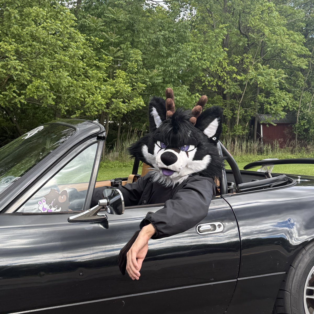 antlers so tall, had to lose the roof 😵‍💫

#FursuitFriday