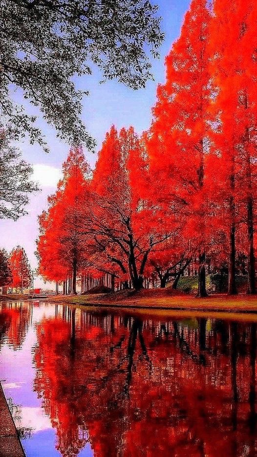 Christian Diamond (@thegemofsincity) on Twitter photo 