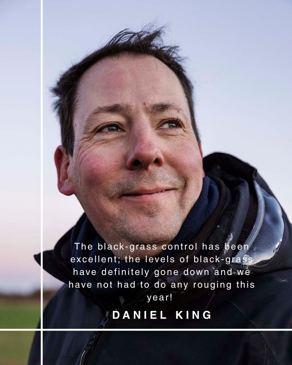 Join us tomorrow at Daniel King's farm for the first of this year's Demo Days where you can visit our fungicide tour as well as hearing more about his #Luximoment.

Find out more about Daniel's battle against black-grass here: bit.ly/4kME0pt