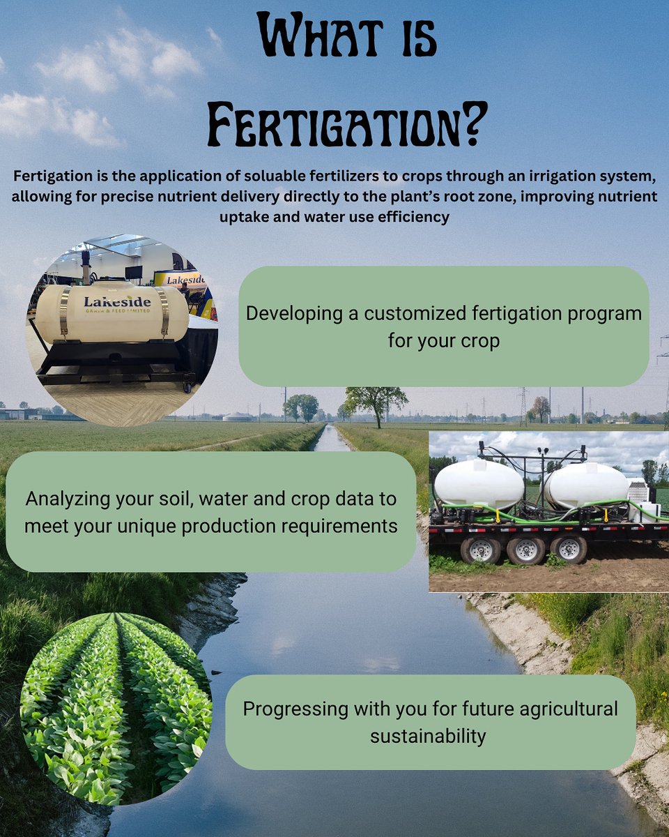 💦🌱 Feeding roots, fuelling growth - fertigation at its finest 💦🌱

Come speak to our amazing fertigation specialists today! 

#lakesidegrain #60years #fertigation #ag #comeseeus