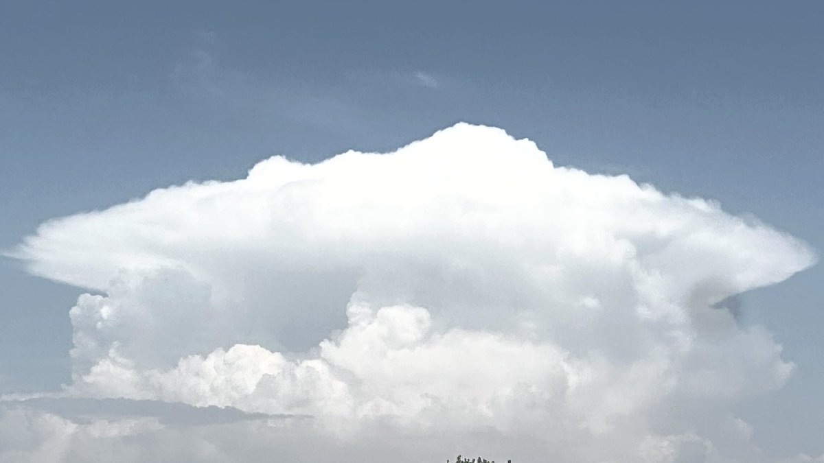 Xavier Coll (@xcollgi) on Twitter photo Així es veu a les 16:30 h #ivarsdurgell <a href="/meteocat/">Meteocat</a> <a href="/MeteoMauri/">MeteoMauri</a> <a href="/meteorac1/">Meteorologia RAC1</a> <a href="/SergiLoras/">Sergi Loras</a> <a href="/elnacionalcat/">ElNacional.cat</a> <a href="/eltempsTV3/">El temps</a> <a href="/AEMET_Cat/">AEMET_Cataluña</a> <a href="/climadelleida/">Climadelleida/meteoponent</a> <a href="/tw_agraria/">web agrària ||*||</a> Així es veu a les 16:30 h #ivarsdurgell <a href="/meteocat/">Meteocat</a> <a href="/MeteoMauri/">MeteoMauri</a> <a href="/meteorac1/">Meteorologia RAC1</a> <a href="/SergiLoras/">Sergi Loras</a> <a href="/elnacionalcat/">ElNacional.cat</a> <a href="/eltempsTV3/">El temps</a> <a href="/AEMET_Cat/">AEMET_Cataluña</a> <a href="/climadelleida/">Climadelleida/meteoponent</a> <a href="/tw_agraria/">web agrària ||*||</a>