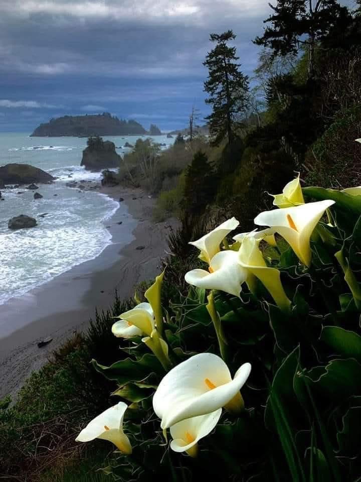 Christian Diamond (@thegemofsincity) on Twitter photo 