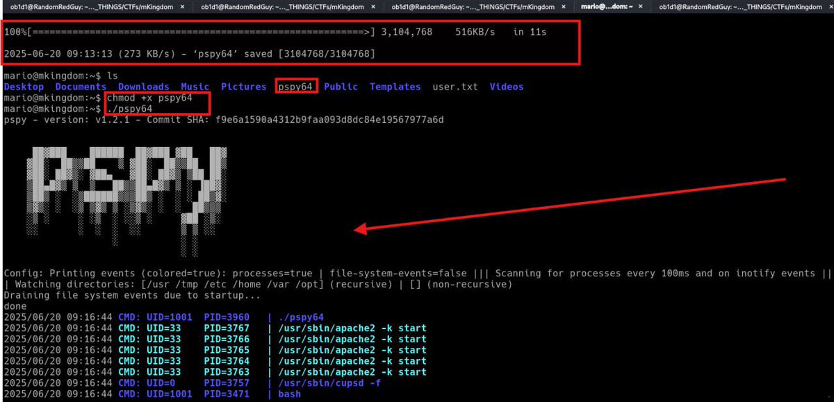 _0b1d1's tweet image. 💀 Crushed a CTF room using pspy64 from my Linux privesc tool .
Got a shell, watched the system like a hawk, caught a cron, and escalated to root 👑
Flags snatched. Root dance unlocked.

#CTF #LinuxPrivEsc #pspy #Rooted #HackThePlanet #PostExploitation #HackerLife #RedTeamMoves