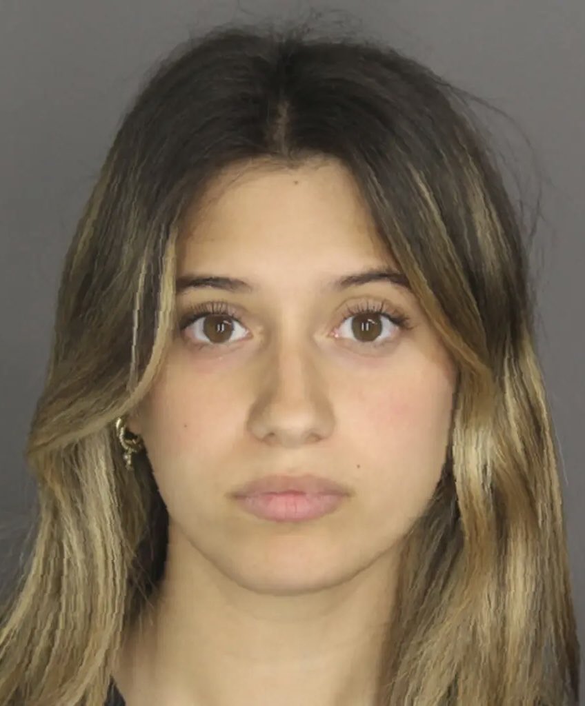 2nd degree disseminating indecent material to minors and endangering the welfare of a minor (22 year old school employee sent nudes to a 14 year old student)