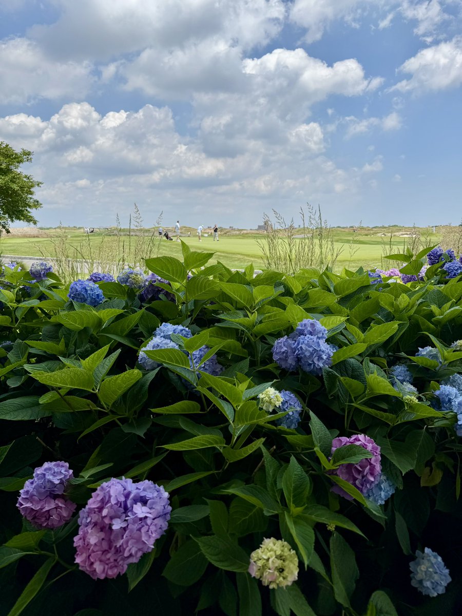 Bally's Golf Links at Ferry Point (@ballysgolffp) on Twitter photo Today’s the longest day of the year! Who’s golfing? 😎 Today’s the longest day of the year! Who’s golfing? 😎
