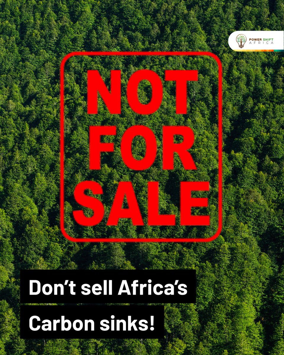 Don’t sell Africa’s carbon sinks. Demand accountability.

A Polluters Pay Fund is the way forward.

Find out the REAL truth about Carbon Markets in our recently launched report ⏬
powershiftafrica.org/publications/p…
