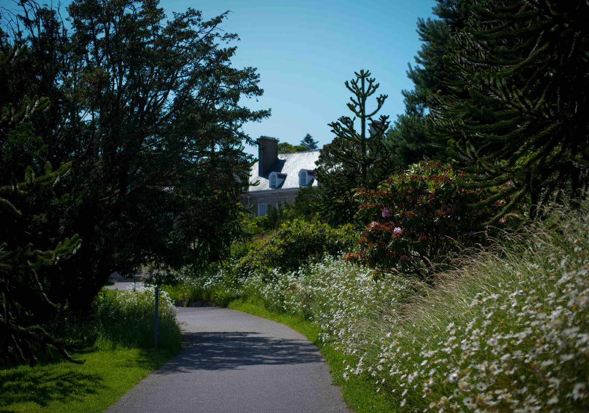 Cornwall-Plus Accommodation and Events (@cornwall_plus) on Twitter photo It’s a scorcher here in sunny Falmouth! We're getting ready to welcome our first group residentials on Monday, and from 1 July, Glasney Rooms will be open to solo travellers, couples, and holiday-makers. Can’t wait to welcome you to Cornwall! ☀️🌊 It’s a scorcher here in sunny Falmouth! We're getting ready to welcome our first group residentials on Monday, and from 1 July, Glasney Rooms will be open to solo travellers, couples, and holiday-makers. Can’t wait to welcome you to Cornwall! ☀️🌊