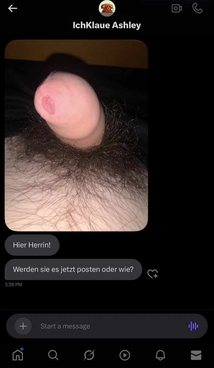 neue frische Hündin ... frisches Fleisch
