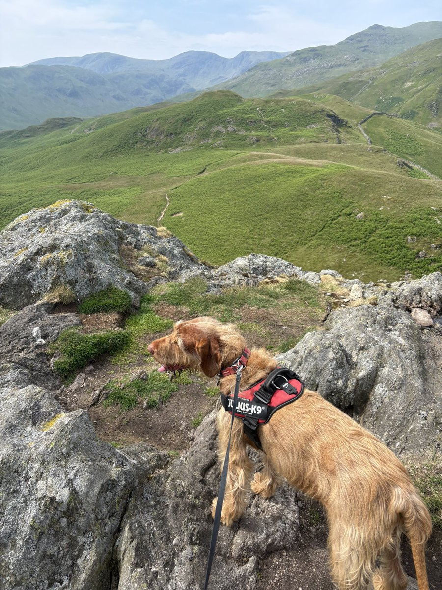PaulBevan78's tweet photo. Finished our little trip to the lakes of with Arnison crag. Another great day for the weather. Plenty of people out on the fells. @NVisla loving life.@Wainwrights214 @lowealpine @rab_equipment @CumbriaWeather @lakedistrictnpa https://t.co/Pz19Ya4T2c