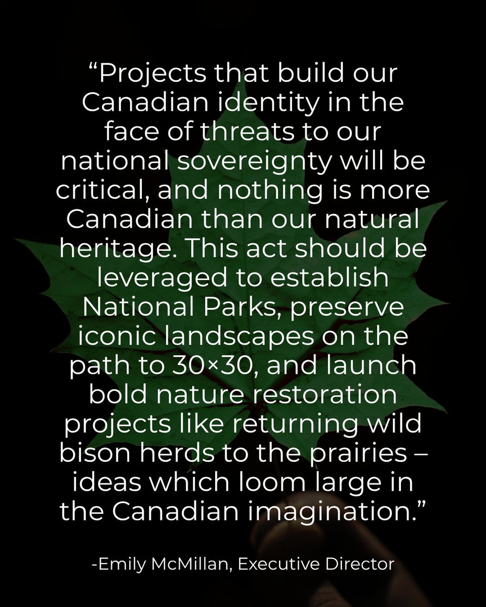 Many voices, including Nature Canada, have raised serious concerns that the proposed Bill lacks sufficient safeguards for Indigenous rights, environmental impacts, and accountability to the people. Those concerns cannot be satisfied without amending the Bill. Given the speed at