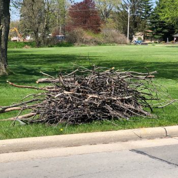 In response to the tree damage caused by this week’s storms, the Public Works Department will provide a special Brush Collection. To ensure pickup, place brush at the curb by Monday, June 23rd by 7am.  This collection is for storm damage only.  Registration is not necessary.