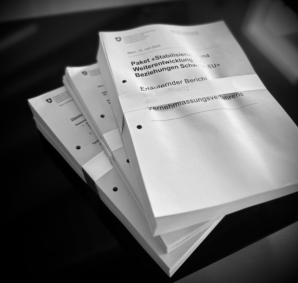 Lesestoff eingetroffen. Für einmal müssen die Krimis von Donna Leon und Martin Walker warten, trotz Sommer. Und meine Eltern hat doch recht, als sie mir als Schüler sagten, ärgere dich nicht, du wirst noch viel mehr lesen müssen ;)