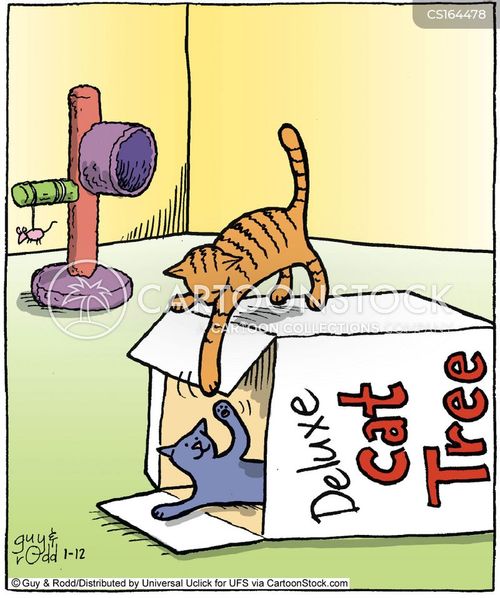 This sumz up my house. #FridayFunnies <a href="/LittleMaineCoon/">Holly Purr⚜️</a> <a href="/JoyOfCats/">The Joy Of Cats 🫶🇨🇦</a> <a href="/GeneralCattis/">"Mad Cat" Cattis</a> <a href="/mitsy2714/">Princess Mitsy</a> <a href="/MaineCoonCatsOH/">Reny, Cat Nip Enthusiast</a> <a href="/JusticeToAll/">JusticeToAll ~ 🙏 🇺🇦 ⚖️ 🚀</a> <a href="/AmandaSmokeyIs1/">🦁Isabella, 🐈‍⬛Tommy & 🐱Alex</a> <a href="/TheCatMalice/">Madcat Malice & Mayhem da Kidd 🩵#ZSHQ</a> <a href="/HugoStevens15/">😺😺🎄🎄⛄️⛄️Hugo Mainecoon 🎄🎄🌦️⛄️⛄️😺😺</a> <a href="/LordGraydon/">Ms. Savoy & Mr. Sanderson @LordGraydon</a>