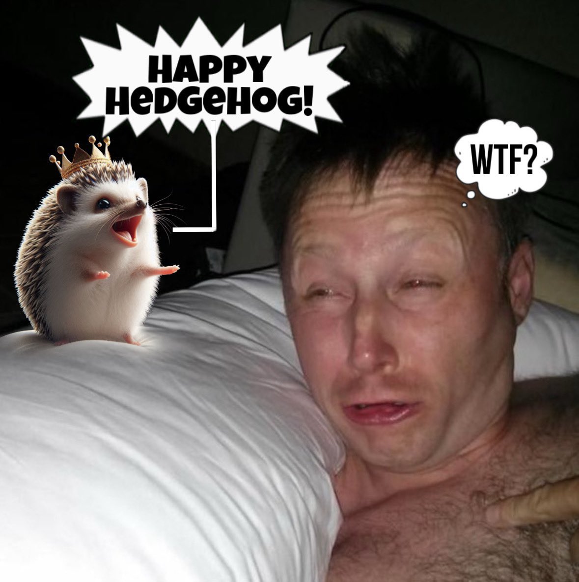 GM!
Have a Fantastic FFriday!⚡️🦔⚡️