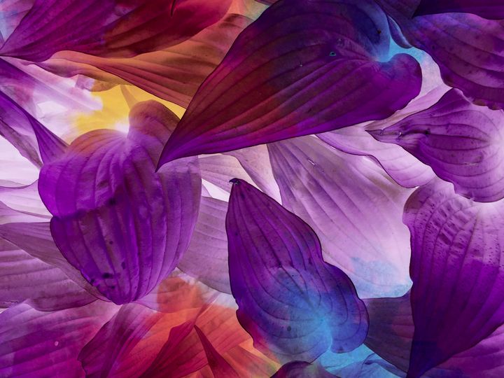 ShelbyRadcliff's tweet photo. Art of the Day: "Leaves of color". Buy at: https://t.co/IxwihDzoFX https://t.co/OKA5qt1HkT