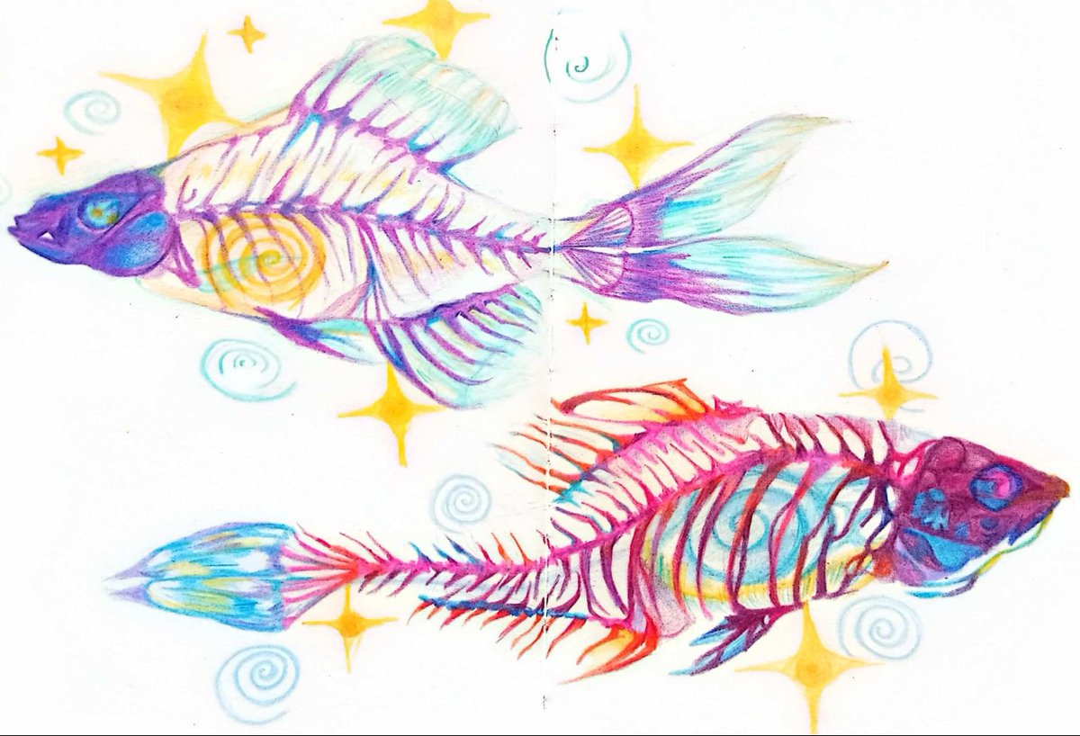 bciroll20s's tweet image. just a fish