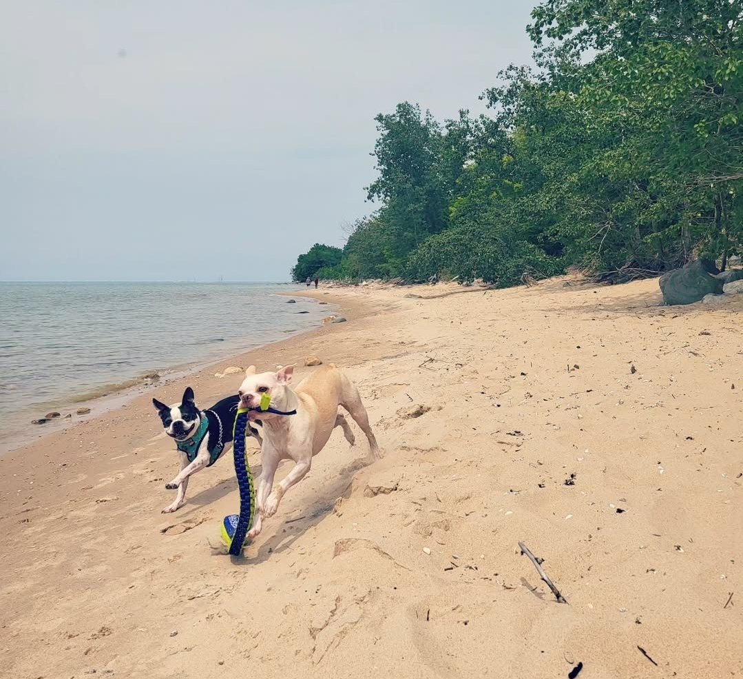 #Summer begins tonight! ⛱️ Happy Summer from the boys.