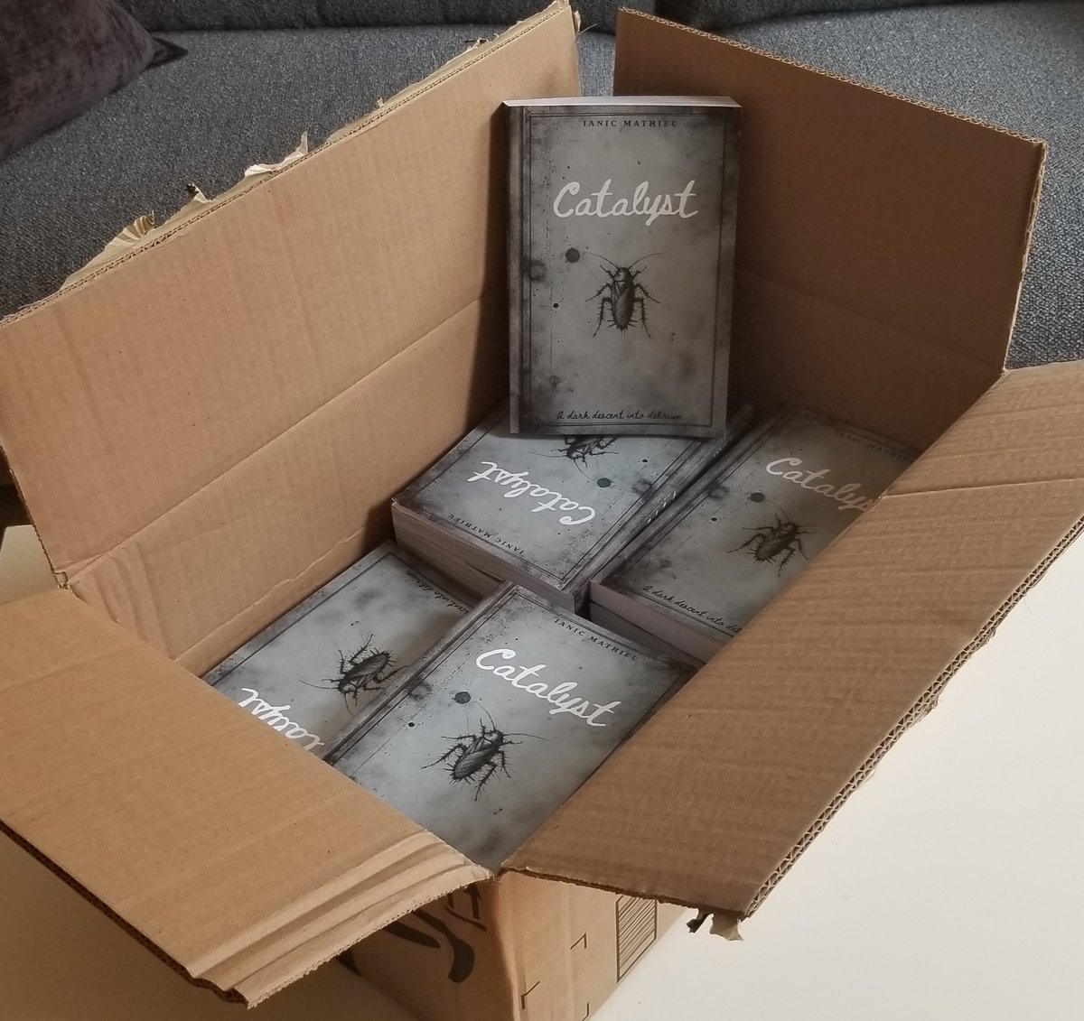 IanicWriter's tweet image. Just got my second box of books. Pretty excited! I'll be dropping a few of those today around the city.