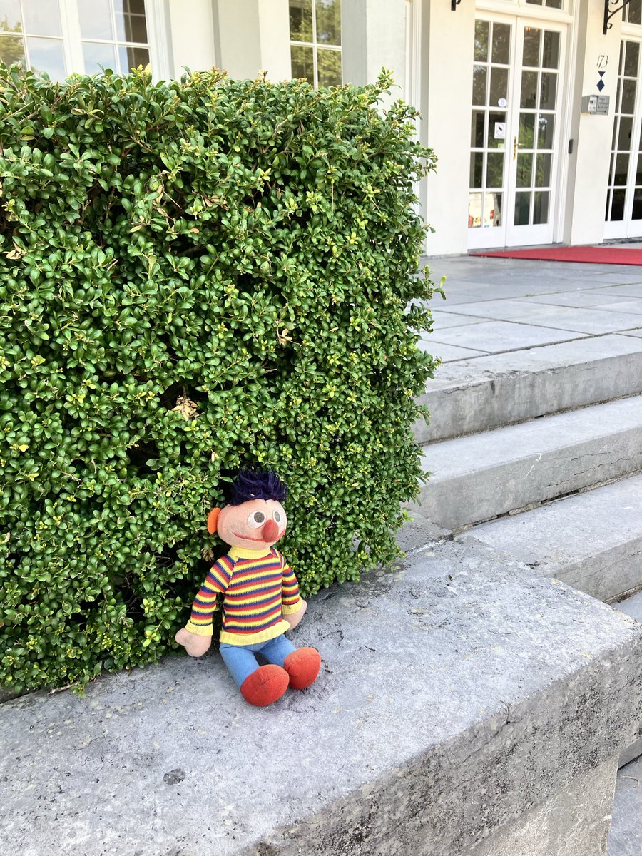 Ernie zoekt baasje, twee weken geleden verloren bij Jagtlust. Reactie via dm