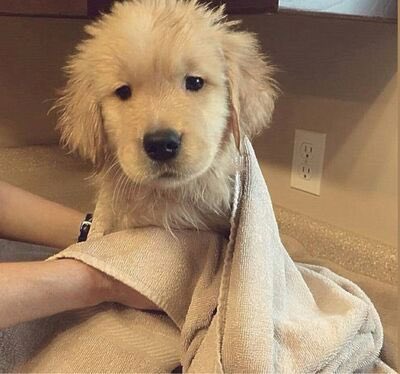 godxfjm's tweet photo. อาบน้ามแล้วก้มาหอม            ก้เดินมาซิ้ https://t.co/OnN3en1jRa