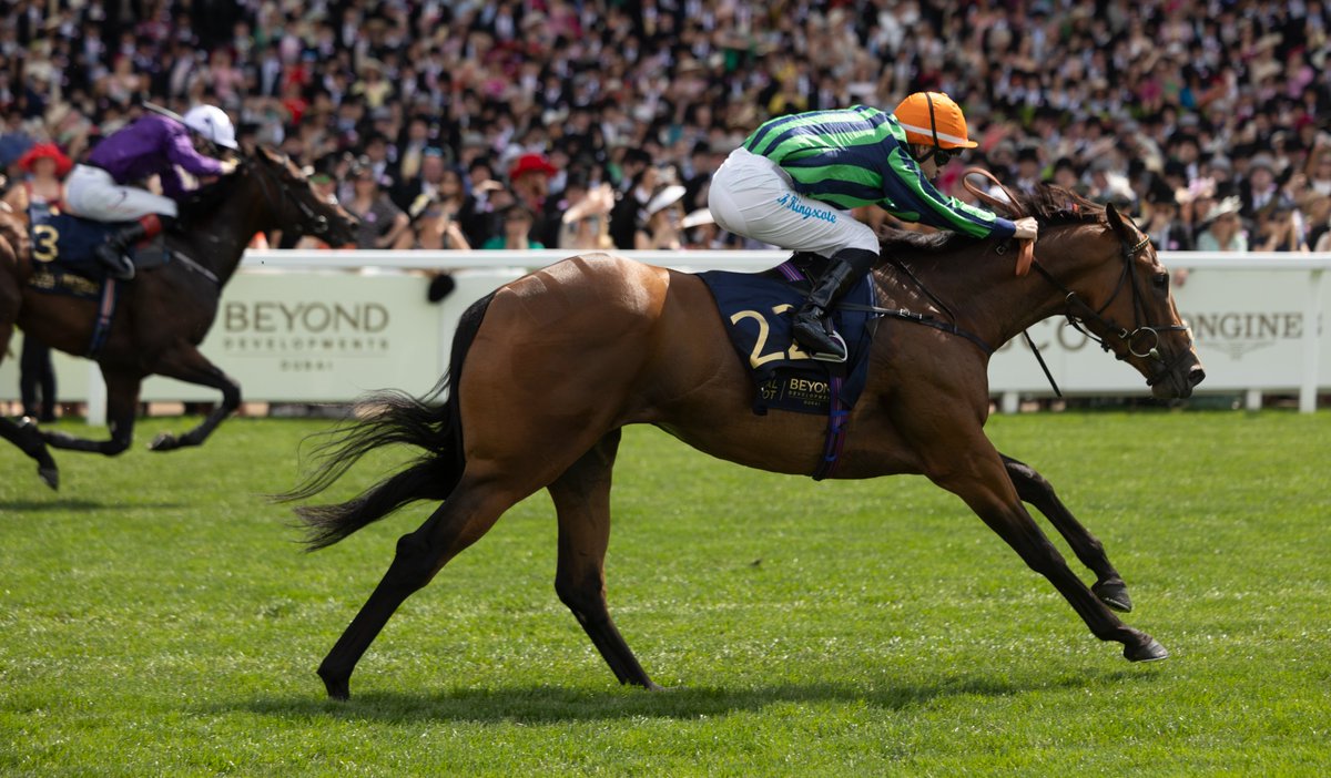 ITM (@irethoroughbred) on Twitter photo TIME FOR SANDALS (IRE) (near side) lands G1 Commonwealth Cup for 3yos over 6f <a href="/Ascot/">Ascot Racecourse</a>; bred <a href="/BallyhaneStud/">Ballyhane Stud</a> & sired by their Sands Of Mali; trained <a href="/H_Eustace/">Harry Eustace</a> who sourced her for just Euros 35k <a href="/Tattersalls_ie/">Tattersalls Ireland</a> Sept Yearlings ๐ฎ๐ช๐ฉ๐ฅ๐ก TIME FOR SANDALS (IRE) (near side) lands G1 Commonwealth Cup for 3yos over 6f <a href="/Ascot/">Ascot Racecourse</a>; bred <a href="/BallyhaneStud/">Ballyhane Stud</a> & sired by their Sands Of Mali; trained <a href="/H_Eustace/">Harry Eustace</a> who sourced her for just Euros 35k <a href="/Tattersalls_ie/">Tattersalls Ireland</a> Sept Yearlings ๐ฎ๐ช๐ฉ๐ฅ๐ก