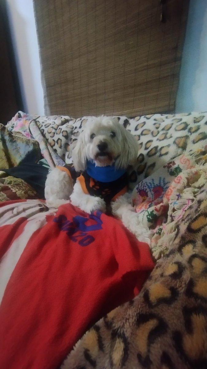 Mi Simón, un gran varón#contigochv