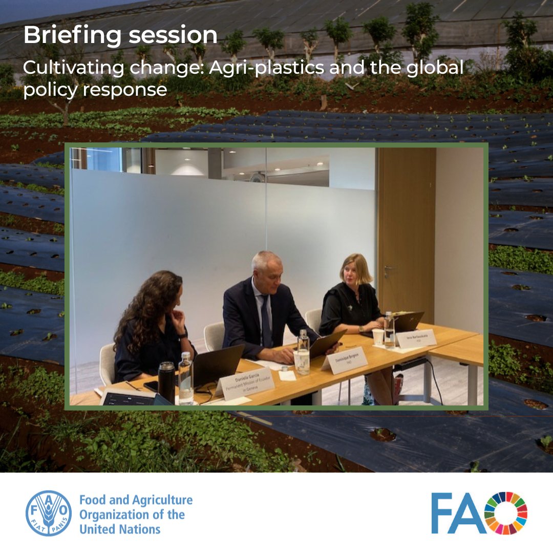.<a href="/DBurgeon/">Dominique Burgeon</a> opened the <a href="/FAOGeneva/">FAOGeneva</a> session on agri-plastics management highlighting:

🔹 12.5M tonnes of plastics used yearly in plant &amp; animal production
🔹 Mixed impacts on #FoodSecurity &amp; sustainability
🔹 Need for sector-specific approaches to reduce plastic pollution