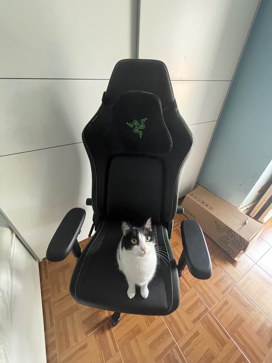 MOUZ Fizzy (@fizzyxddd) on Twitter photo Thank you <a href="/TeamRazer/">Team RΞZΞR</a> for allowing me to play at my best with the new Razer Iskur V2.
Might need to send another one seeing as this one already has a small owner... Thank you <a href="/TeamRazer/">Team RΞZΞR</a> for allowing me to play at my best with the new Razer Iskur V2.
Might need to send another one seeing as this one already has a small owner...
