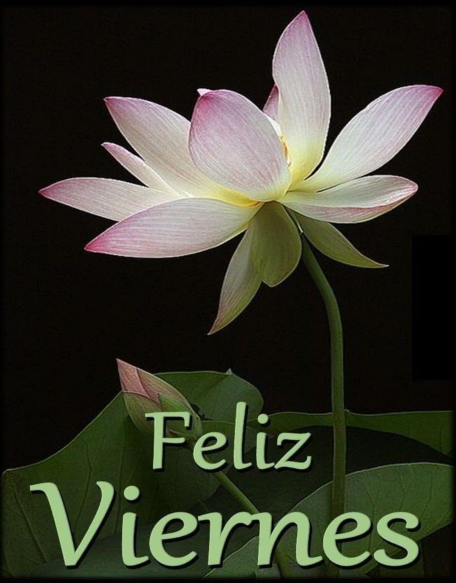¡¡¡Gracias a Dios es viernes, seamos felices aunque solo sea por molestar!!!