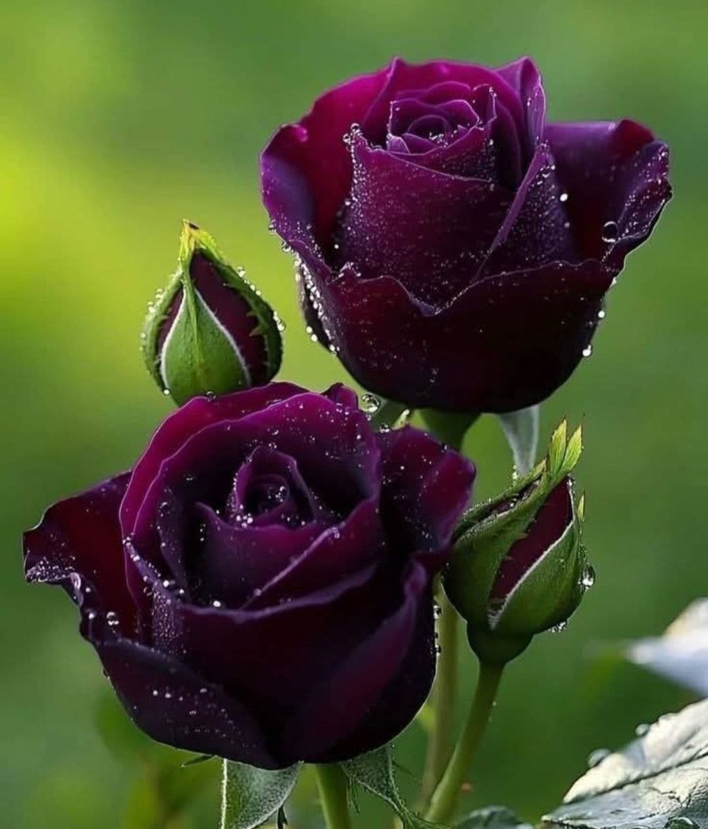 🌟⭐️🌟🌟sʜᴀʜᴢᴀᴅ ᴍᴜɴɪʀ🌟⭐️🌟⭐️ (@shz787) on Twitter photo #P_PTi 🅰️ 15
<a href="/MNPTi1/">𝗠𝘂𝗻𝘀𝗶𝗳🕊️⃟⋆ ابوسلم ≛⃝🔶</a> <a href="/NM1k_/">༺ 💎𒆜𝑵𝑬𝑬𝑵𝑨𝑯𒆜💎 ༻</a>
<a href="/P_PTi4/">Nosheen Aurangzaib</a> <a href="/Dni_40/">Daniyal</a>
<a href="/IAIJ1_/">Javed Iqbal</a>
<a href="/P_PTi3/">𝐌_𝐏𝐭𝐢 _🆇 𝐏𝐑𝐎𝐌𝐎𝐓𝐄𝐑</a>
<a href="/8gm_9/">Kërim Yažarăn〽️</a>
<a href="/ARI2_1/">Ariana</a>
<a href="/nbea_h/">#𝕾𝖚𝖕𝖊𝖗𝕱𝖗𝖎𝖊𝖓𝖉𝖘 #𝕿𝖔𝖕𝕱𝖗𝖎𝖊𝖓𝖉𝖘</a>
<a href="/av_804/">DigitaL Aatang Vadi</a>
<a href="/shz787/">🌟⭐️🌟🌟sʜᴀʜᴢᴀᴅ ᴍᴜɴɪʀ🌟⭐️🌟⭐️</a>
<a href="/Aa_ban1/">▄︻ #TmGriffins🦅︻▄</a>
<a href="/Sprxzy2/">Umar PTI</a>
<a href="/sam_5as/">Aslam Sameer</a>
<a href="/r7731467/">Russell ☀️نشيط 🇾🇪</a>
<a href="/OdriSeva/">Odri Seva</a>
<a href="/pti__dimo/">S.k khan</a>
<a href="/zimal293/">🦋𝐑ᴀsʜɪᴅᴀʜ🦋</a>
<a href="/zirwa_786/">꧁༒𝓩𝓲𝓻𝔀𝓪 𝓐𝓾𝓻𝓪𝓷𝓰𝔃𝓪𝓲𝓫༒꧂</a>
<a href="/SKPTI804/">ꜱᴀʟᴍᴀɴ ᴘᴀᴛʜᴀɴ ᵀᵉᵃᵐˢᵒᵏ</a>
<a href="/P47689530/">Aneeb khan</a>
<a href="/CarloSportfan/">SportISmyLIFE ⚽⚾🏀🏐🏈🎾🎳🏏🏓⛳</a>
<a href="/aminullah990/">aminu allah</a>
<a href="/yasirkhan7845/">Yasir Khan</a>
<a href="/KamranA17555180/">ISF Sindh Official 🇧🇫</a>
@As_t40 <a href="/00munsif/">ابوسلم 𝐌𝐮𝐧𝐬𝐢𝐟 𝐀𝐥𝐢</a> #P_PTi 🅰️ 15
<a href="/MNPTi1/">𝗠𝘂𝗻𝘀𝗶𝗳🕊️⃟⋆ ابوسلم ≛⃝🔶</a> <a href="/NM1k_/">༺ 💎𒆜𝑵𝑬𝑬𝑵𝑨𝑯𒆜💎 ༻</a>
<a href="/P_PTi4/">Nosheen Aurangzaib</a> <a href="/Dni_40/">Daniyal</a>
<a href="/IAIJ1_/">Javed Iqbal</a>
<a href="/P_PTi3/">𝐌_𝐏𝐭𝐢 _🆇 𝐏𝐑𝐎𝐌𝐎𝐓𝐄𝐑</a>
<a href="/8gm_9/">Kërim Yažarăn〽️</a>
<a href="/ARI2_1/">Ariana</a>
<a href="/nbea_h/">#𝕾𝖚𝖕𝖊𝖗𝕱𝖗𝖎𝖊𝖓𝖉𝖘 #𝕿𝖔𝖕𝕱𝖗𝖎𝖊𝖓𝖉𝖘</a>
<a href="/av_804/">DigitaL Aatang Vadi</a>
<a href="/shz787/">🌟⭐️🌟🌟sʜᴀʜᴢᴀᴅ ᴍᴜɴɪʀ🌟⭐️🌟⭐️</a>
<a href="/Aa_ban1/">▄︻ #TmGriffins🦅︻▄</a>
<a href="/Sprxzy2/">Umar PTI</a>
<a href="/sam_5as/">Aslam Sameer</a>
<a href="/r7731467/">Russell ☀️نشيط 🇾🇪</a>
<a href="/OdriSeva/">Odri Seva</a>
<a href="/pti__dimo/">S.k khan</a>
<a href="/zimal293/">🦋𝐑ᴀsʜɪᴅᴀʜ🦋</a>
<a href="/zirwa_786/">꧁༒𝓩𝓲𝓻𝔀𝓪 𝓐𝓾𝓻𝓪𝓷𝓰𝔃𝓪𝓲𝓫༒꧂</a>
<a href="/SKPTI804/">ꜱᴀʟᴍᴀɴ ᴘᴀᴛʜᴀɴ ᵀᵉᵃᵐˢᵒᵏ</a>
<a href="/P47689530/">Aneeb khan</a>
<a href="/CarloSportfan/">SportISmyLIFE ⚽⚾🏀🏐🏈🎾🎳🏏🏓⛳</a>
<a href="/aminullah990/">aminu allah</a>
<a href="/yasirkhan7845/">Yasir Khan</a>
<a href="/KamranA17555180/">ISF Sindh Official 🇧🇫</a>
@As_t40 <a href="/00munsif/">ابوسلم 𝐌𝐮𝐧𝐬𝐢𝐟 𝐀𝐥𝐢</a>