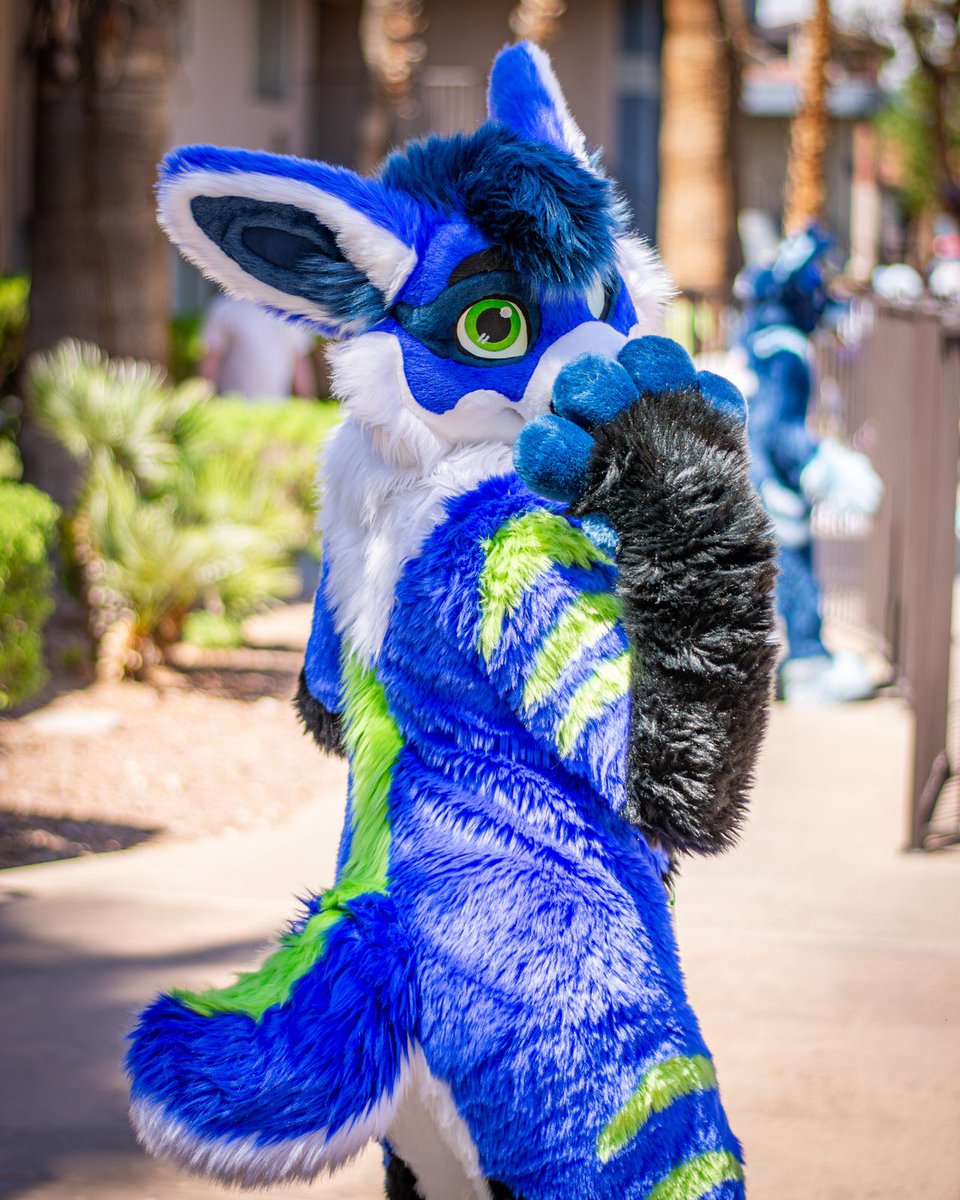 Turbulence-FWA (@turbulence898) on Twitter photo What is everyone looking at? My eyes are up here! *nub wiggles* #FursuitsFriday 
📸- Yukonhusky What is everyone looking at? My eyes are up here! *nub wiggles* #FursuitsFriday 
📸- Yukonhusky