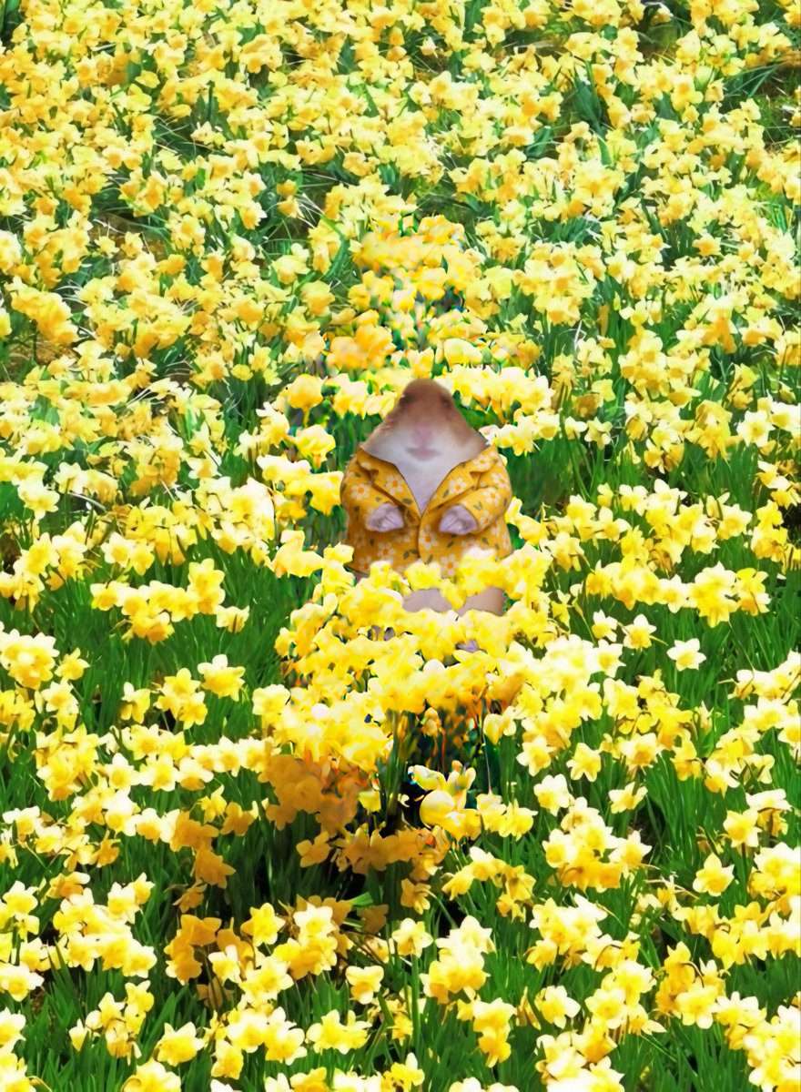 GM $hami

Its okay to touch grass every now and then