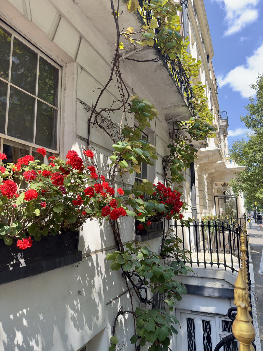 buttonista tweet media