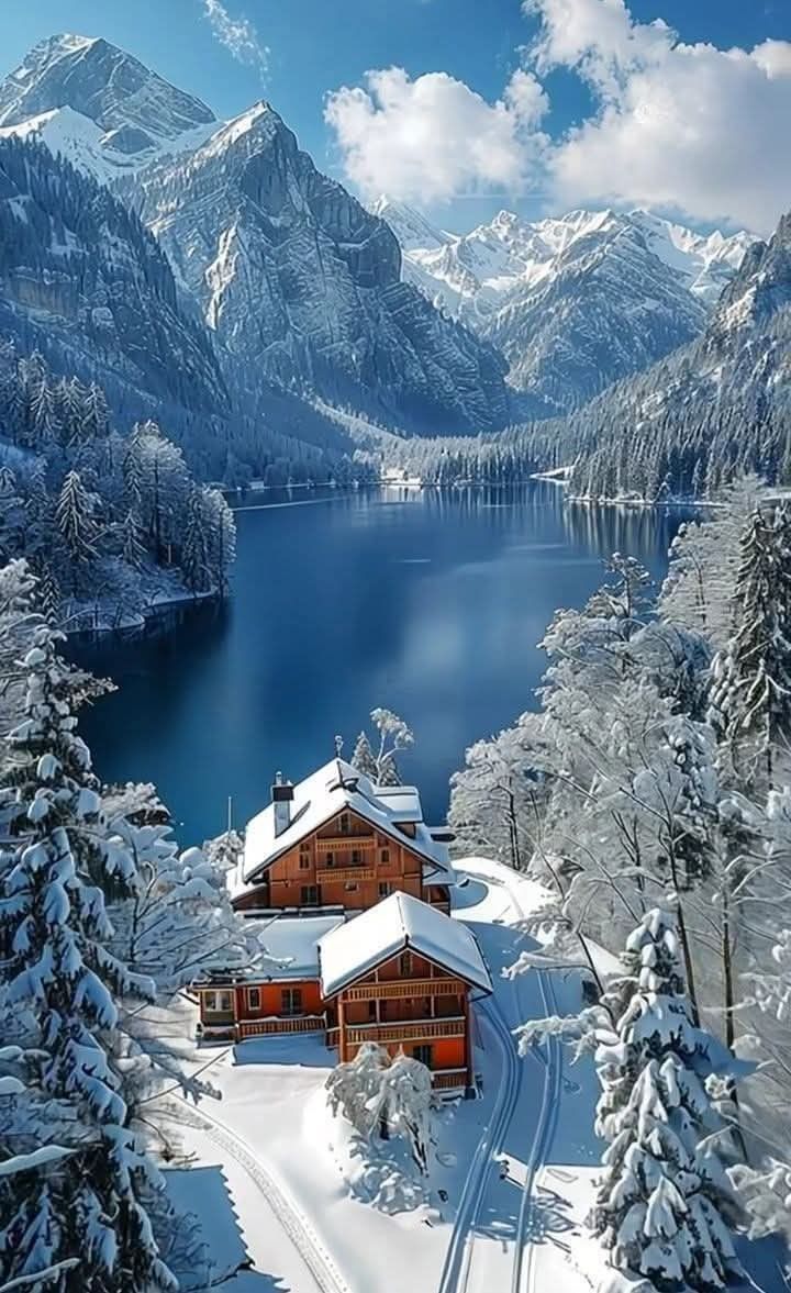 Nature's Awesome (@natures_awesome) on Twitter photo 