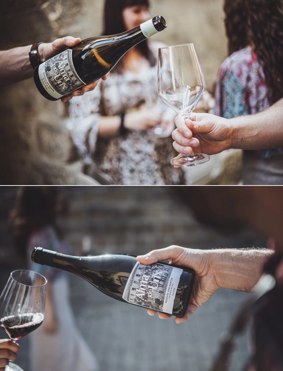 ¡Noticias que nos alegran fin de semana! (y nos dan una excusa para celebrar…) 😊

Diez de nuestros vinos han rsido calificados con 90 puntos o más en la Guía Peñín 👏🏻👏🏻

Trabajo 🔝 de <a href="/unsiwines/">Unsi Wines</a>  <a href="/ventadelpuerto/">Vinos de la Viña</a>  <a href="/reymosoficial/">Reymos</a> y Bodegas San Martín👍🏻

anecoop.com/diez-vinos-de-…