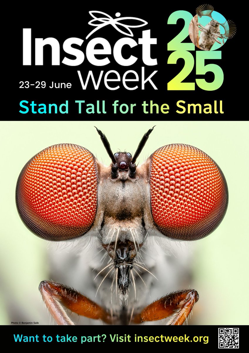 Scienvy's tweet image. Announcement: Insect week 2025 This year we will once again be celebrating Insects with a week of articles about all Insect-related matters from all of the SciEnvy co-editors as well as Katie Miller. Join us next week! #InsectWeek #StandTallForTheSmall
scienvy.co.uk/post/announcem…