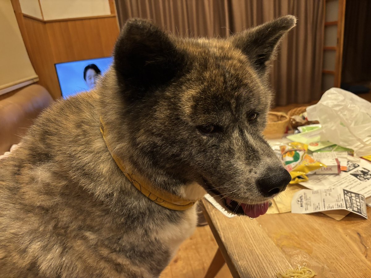 金曜日！今週は暑いし忙しかったです😖今日は少し遅く帰宅してから、ゆずちゃんの夕方散歩徘徊しました🐕夏至なので２０時位まで明るいです😅からの晩酌タイムです🍺今日は長崎ちゃんめんのテイクアウトです😋父ちゃんは味噌ちゃんめんと餃子と小炒飯です😁ゆずちゃんには餃子の皮と麺をお裾分けです🐶