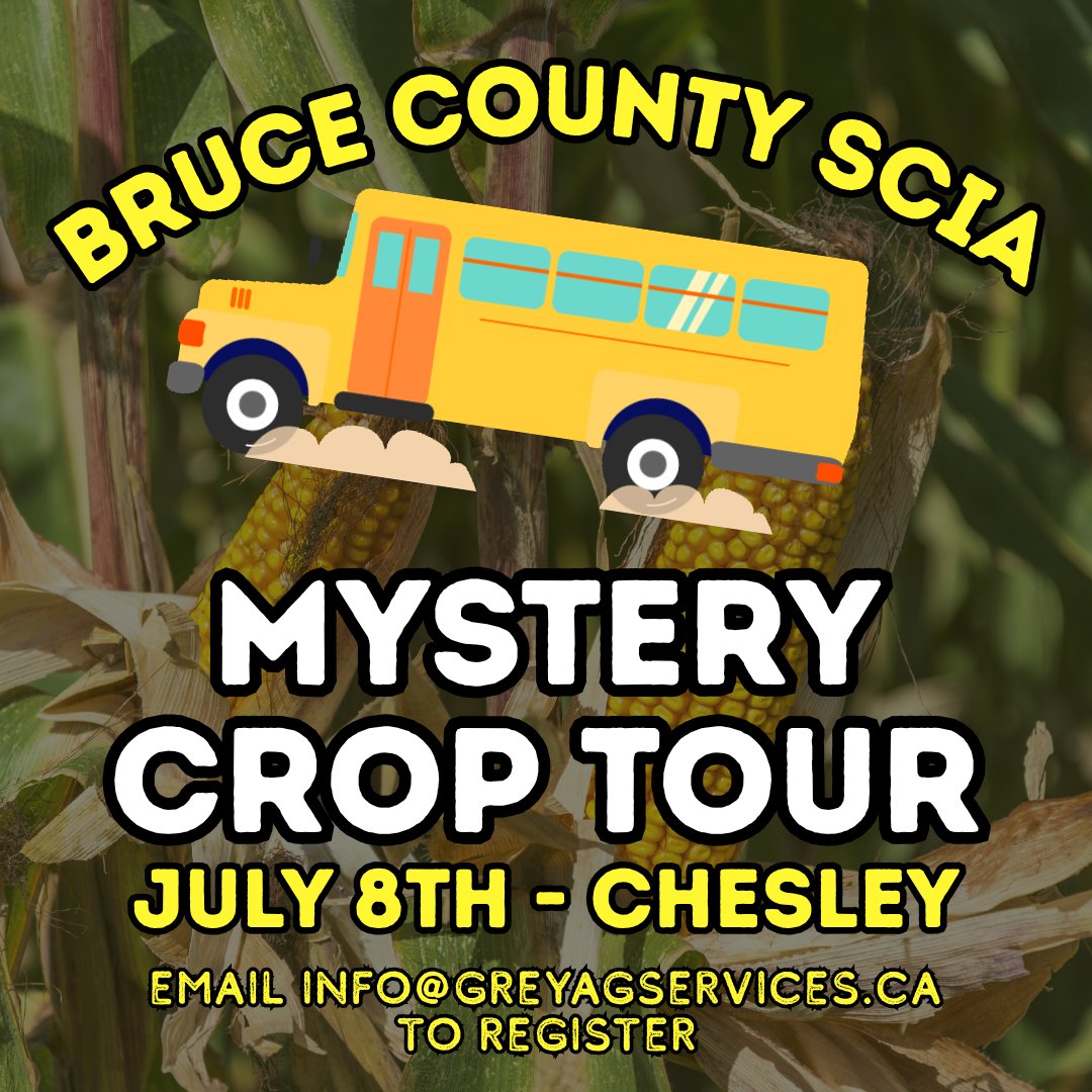 GreyAgServices's tweet image. Are you familiar with the Ontario Soil &amp;amp; Crop Improvement Association? 
Our local associations are getting ready for their summer events. Sign up to be a member and get involved with a group who&apos;s interested in bettering their soils, crops, &amp;amp; businesses! 
ontariosoilcrop.org