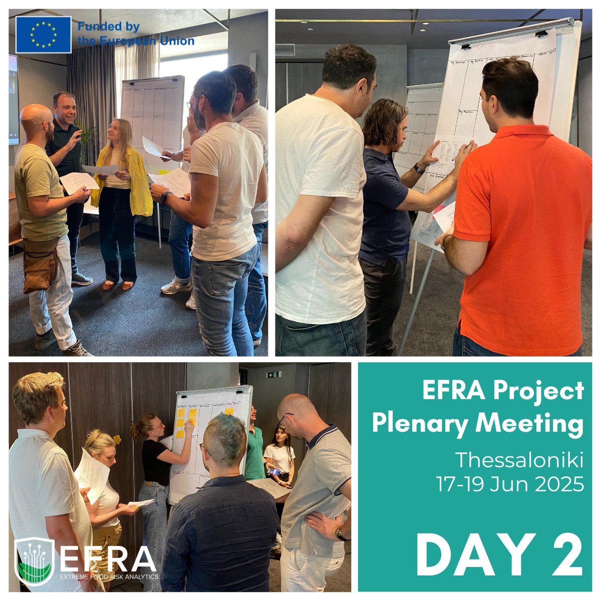 EFRA Project tweet media