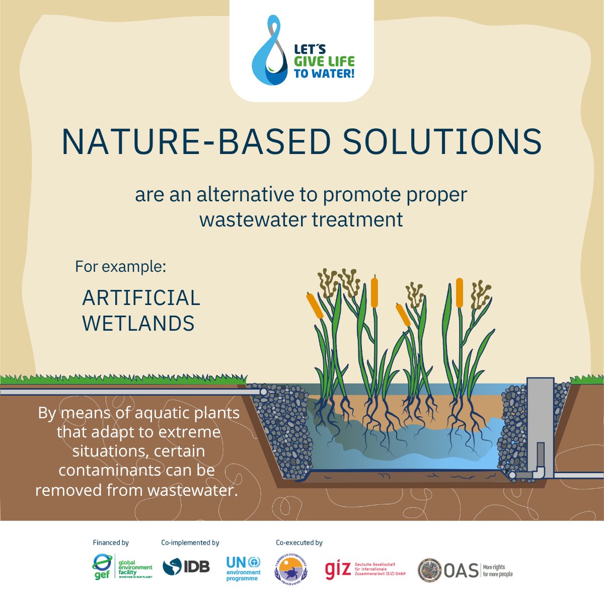 GEF CReW+ Project (@gef_crew) on Twitter photo GEF CReW+ is all about nature-based solutions!
🇲🇽Mexico: artificial wetland in Yaxley.
🇬🇾Guyana: biological and natural purification processes with a biodigester and artificial wetland.
📽️Video youtu.be/VqLt47qTNQA
📒Article tinyurl.com/9rj8bv9z
<a href="/UNEP_CEP/">UNEP Cartagena Convention & Caribbean Enviro Prog.</a> <a href="/OEA_oficial/">OEA</a> GEF CReW+ is all about nature-based solutions!
🇲🇽Mexico: artificial wetland in Yaxley.
🇬🇾Guyana: biological and natural purification processes with a biodigester and artificial wetland.
📽️Video youtu.be/VqLt47qTNQA
📒Article tinyurl.com/9rj8bv9z
<a href="/UNEP_CEP/">UNEP Cartagena Convention & Caribbean Enviro Prog.</a> <a href="/OEA_oficial/">OEA</a>