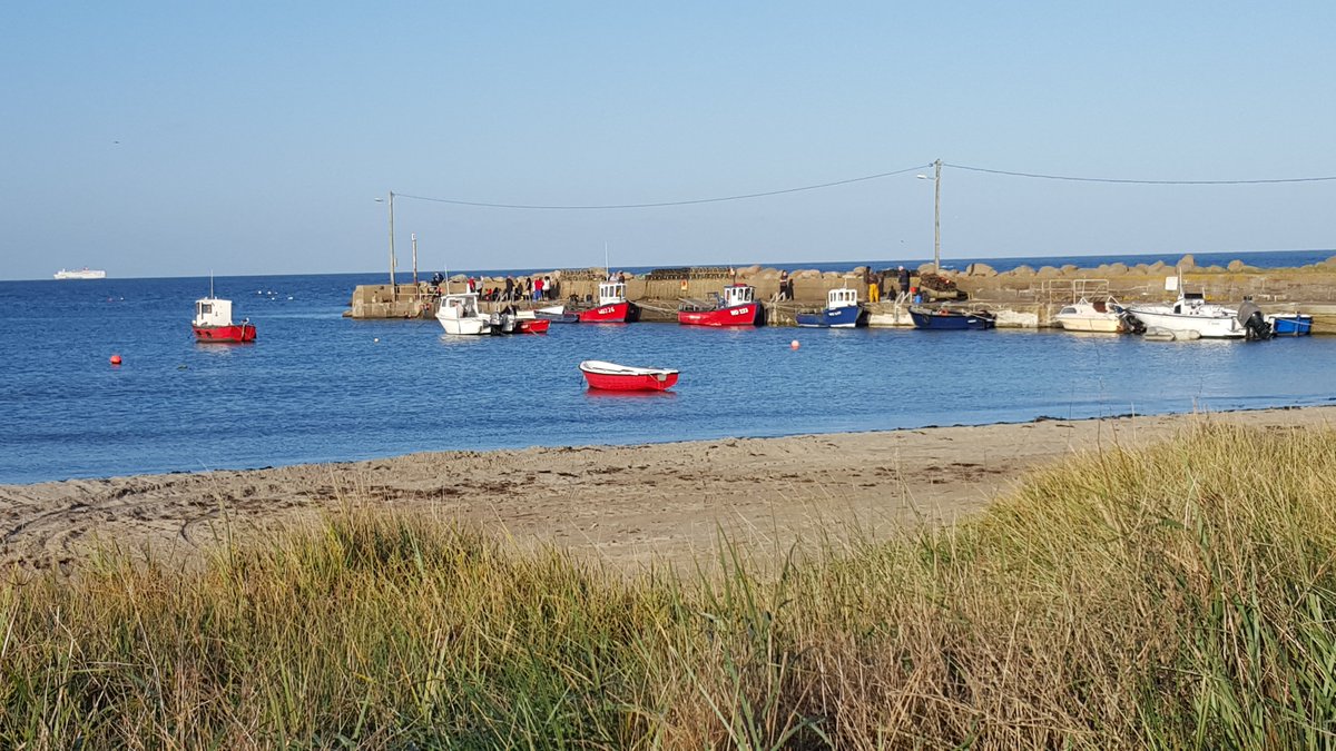EPABeaches (@epabeaches) on Twitter photo Eight regulated bathing waters were sampled on 16 June by <a href="/wexfordcoco/">Wexford County Council</a> all were Excellent. Visit beaches.ie for more details. #loveyourbeach Eight regulated bathing waters were sampled on 16 June by <a href="/wexfordcoco/">Wexford County Council</a> all were Excellent. Visit beaches.ie for more details. #loveyourbeach