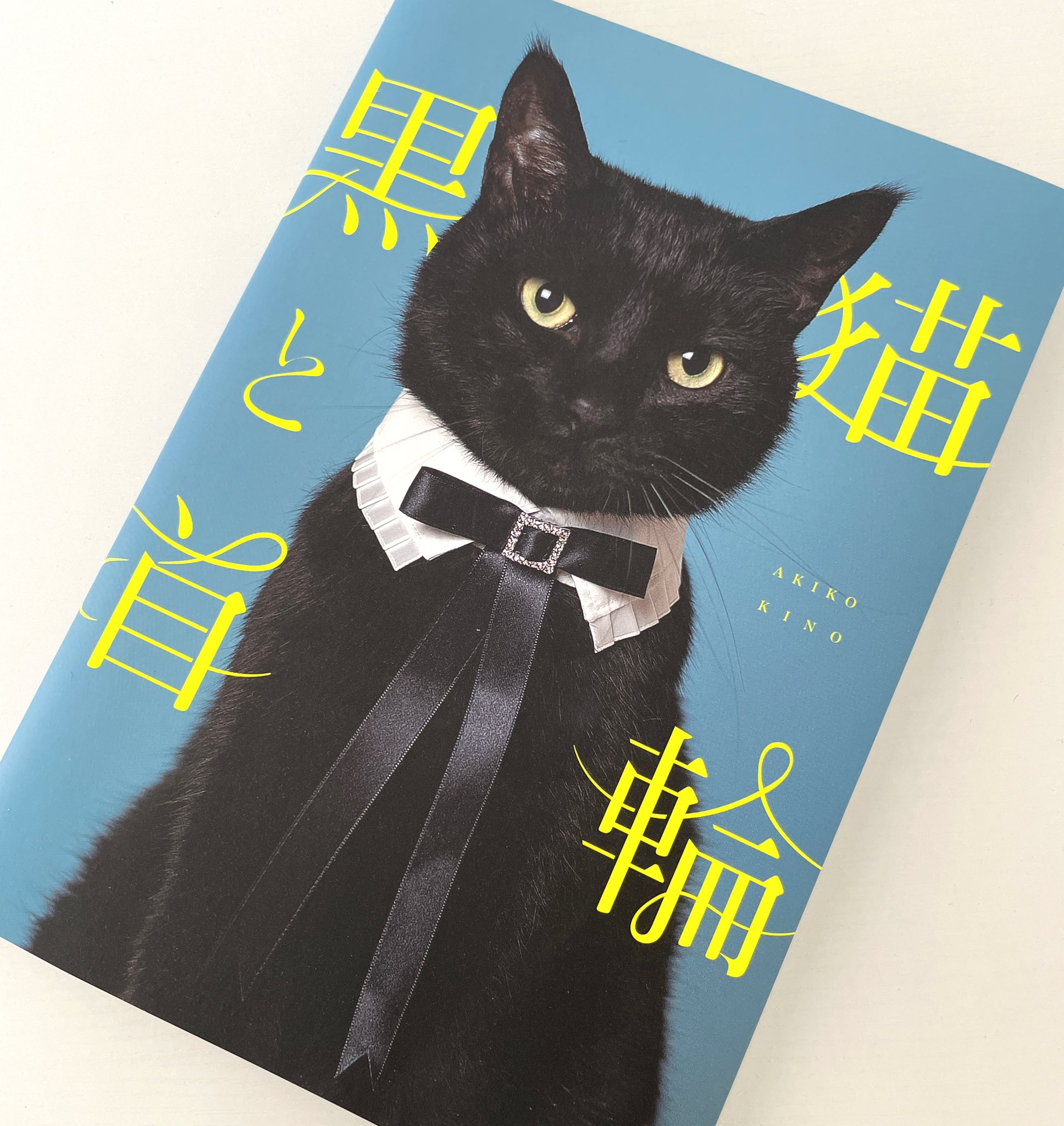ジャンハオ スローガン 黒猫