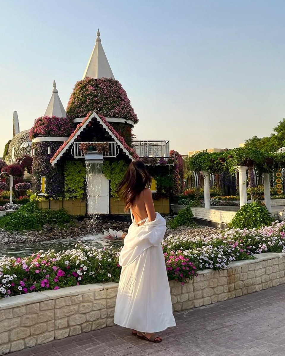 Dubai Miracle Garden tweet media