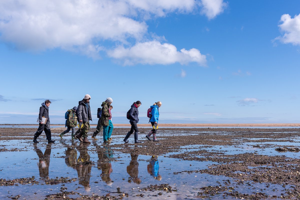 Join the Restoration Forth team next Wednesday (25 June) at 8.30am for an outdoor session to learn all about seagrass, the marine super plant!🌱

This event is free but spaces are limited. Book here: seabird.org/events/seagras…

#RestorationForth

📷©️Jamie McDermaid