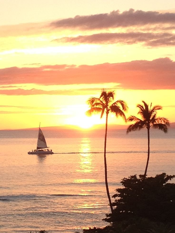 5HIN55's tweet photo. There is only me and the sunrise at the beach in the early morning. There is no noise, no rush, only a moment of myself and undisturbed peace.
#sunrise #beach #travel #sky #outdoor #travel #healing #hiking https://t.co/BCpZvNIiB6
